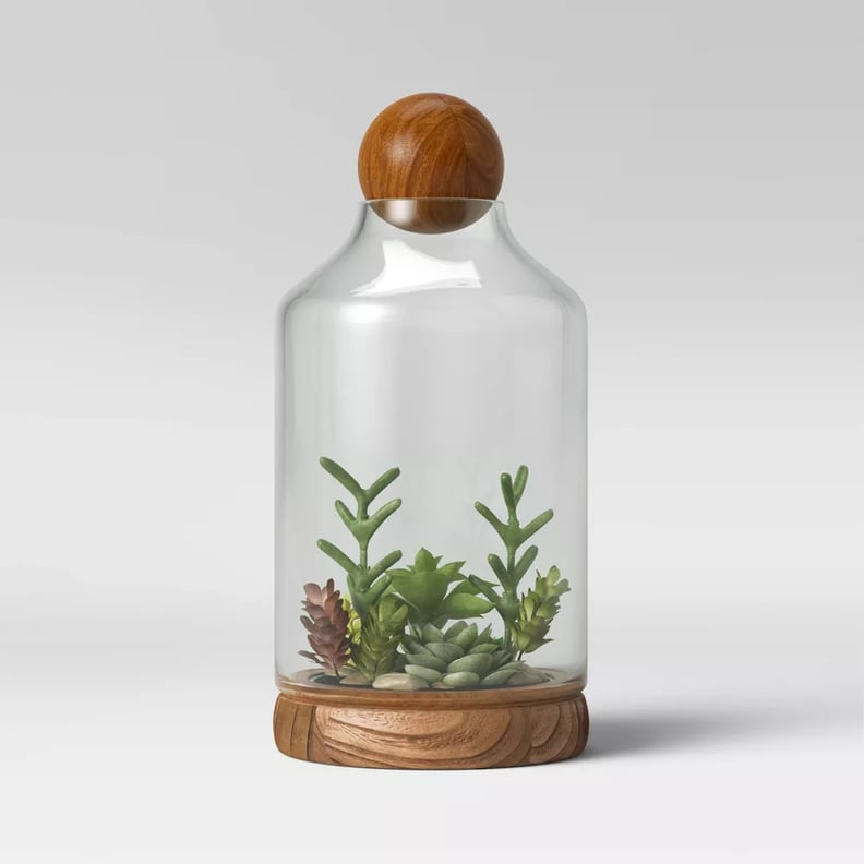 Terrarium