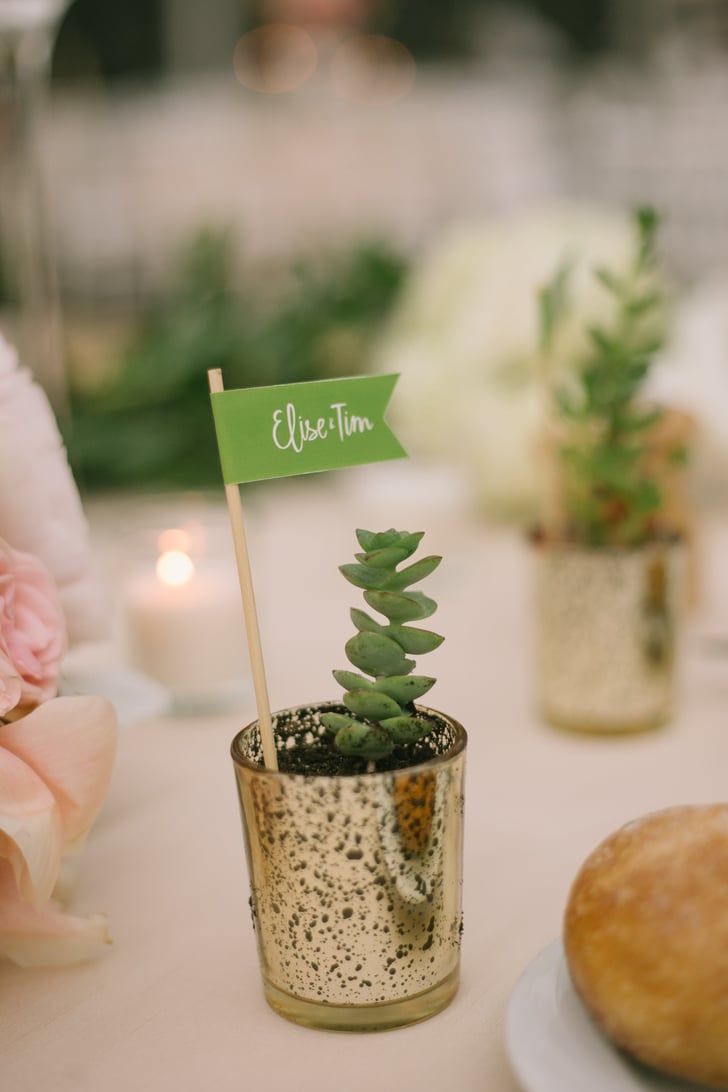 Succulents Wedding Favors Popsugar Love And Sex Photo 65