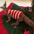 Nobody Loves Christmas More Than This Festive Lizard — Just Ask His Outfit