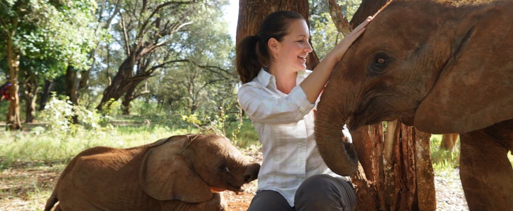 Foster an Elephant Gift