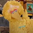 "Will It Hurt?": Big Bird Spoke to 2 Doctors on Sesame Street Before Getting the COVID Vaccine