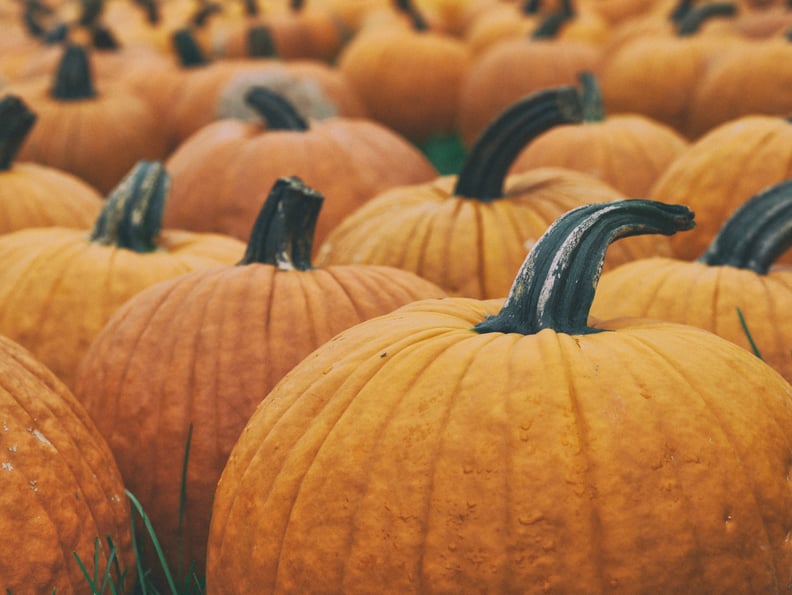 Visit a pumpkin patch.