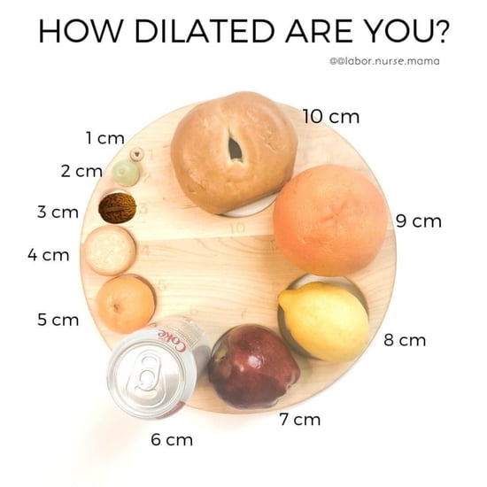 Nurse's Dilation Chart Using Food Items