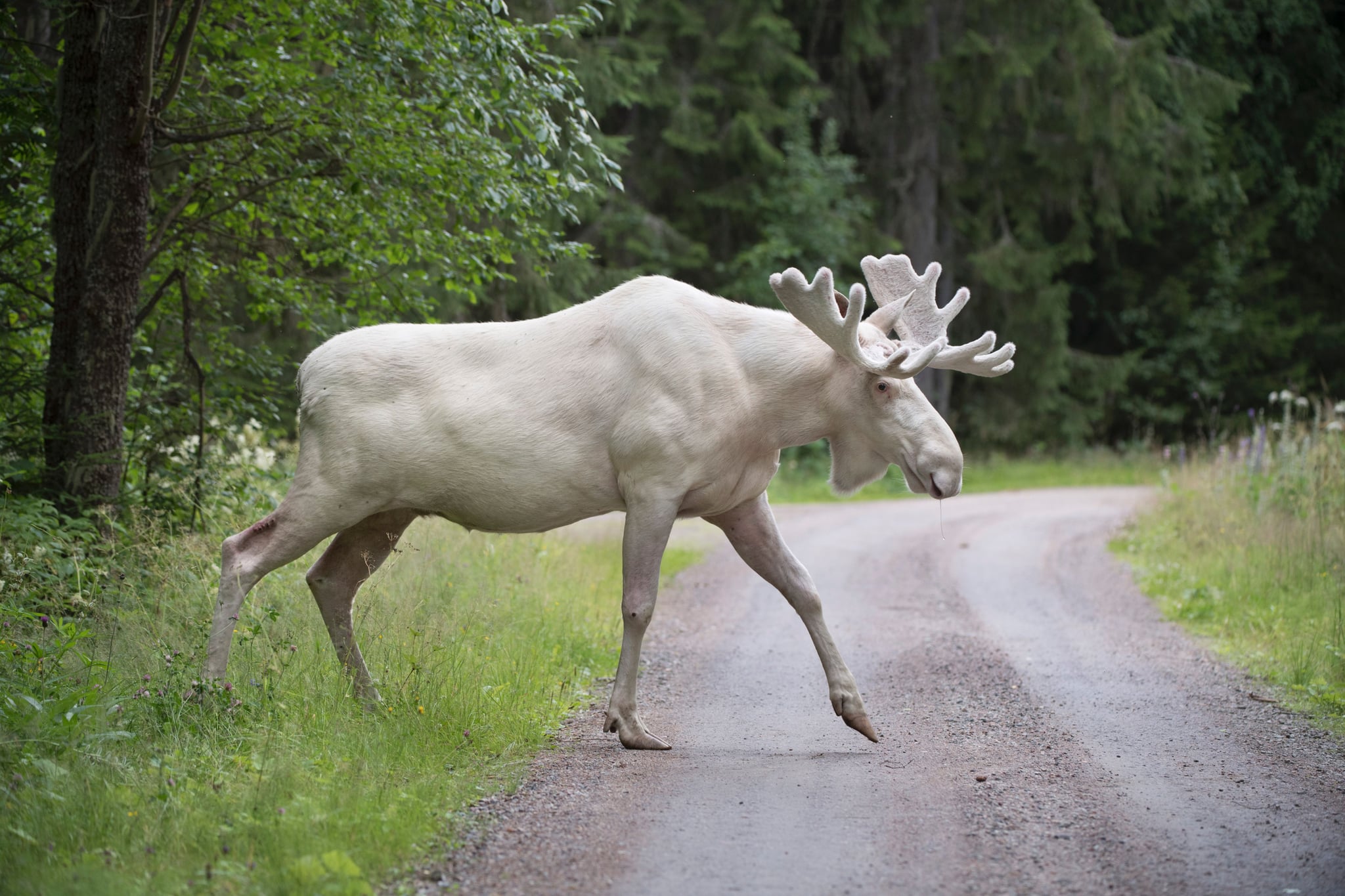 tmp_kcd9dn_7353c6f18503d520_GettyImages-831279776.jpg