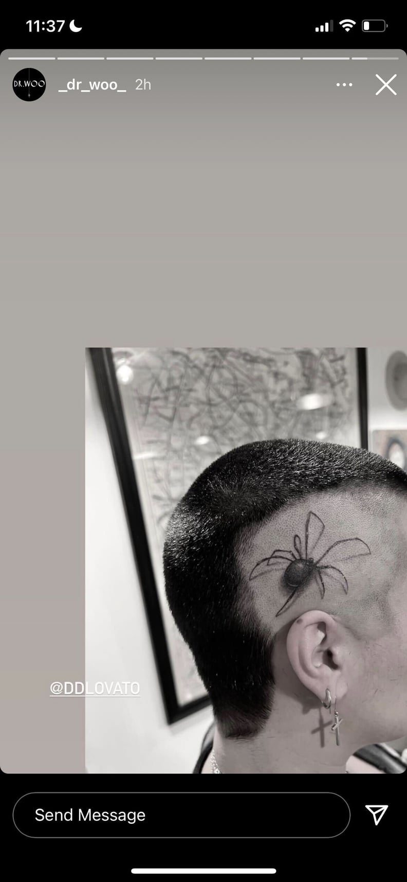 Demi Lovato's Spider Tattoo