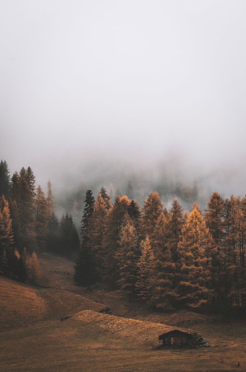Fall Background: Ominous iPhone Wallpaper