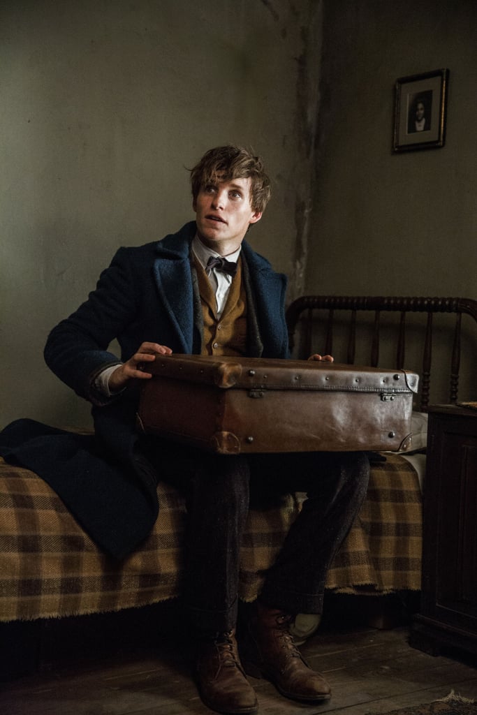 Newt Scamander From Fantastic Beasts and Where to Find Them