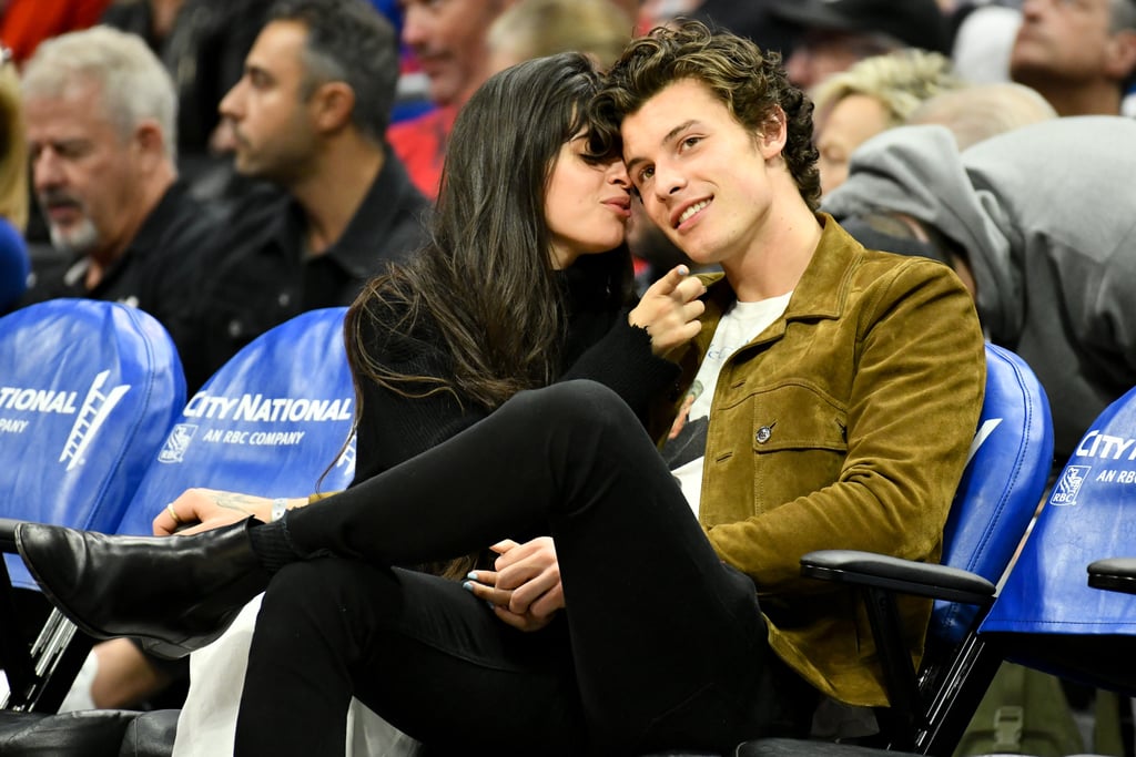 Camila Cabello and Shawn Mendes Kissing at LA Clippers Game
