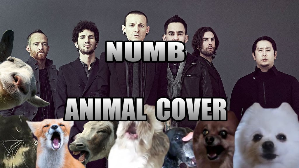 Linkin Park — Numb