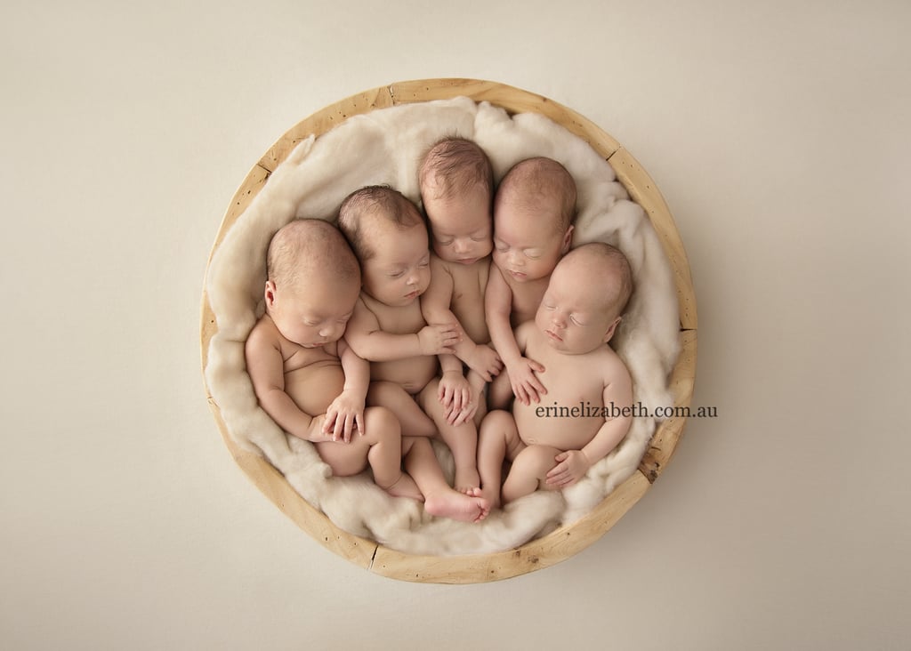 Tucci Quints Newborn Photos