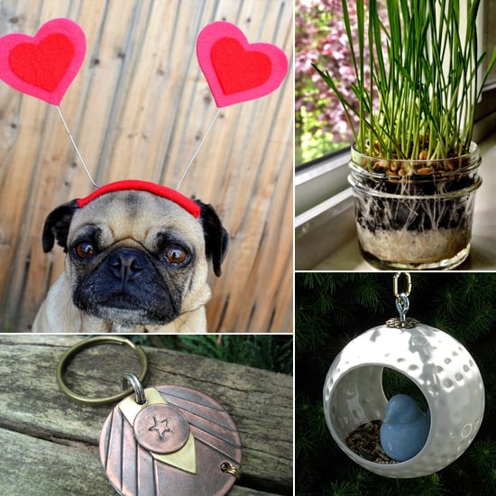 Pet Products For February 2014
