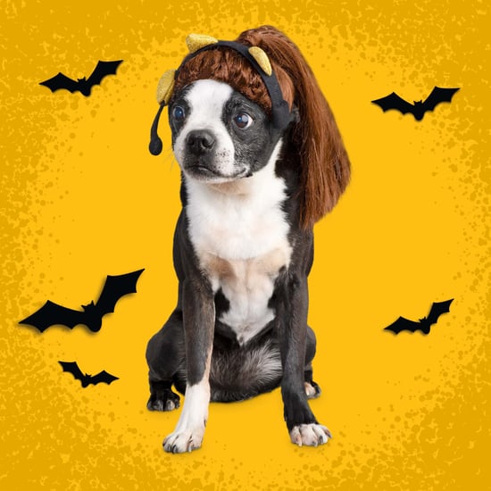 Ariana Grande Halloween Costume For Dogs