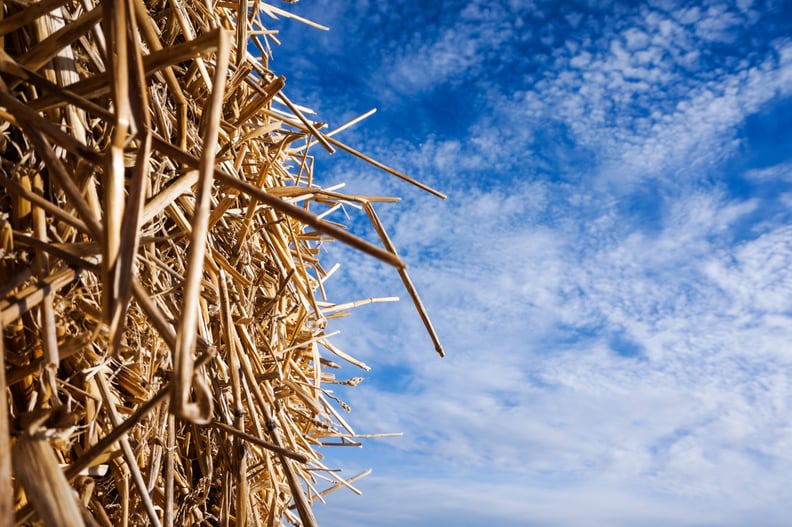 Go on a hayride.