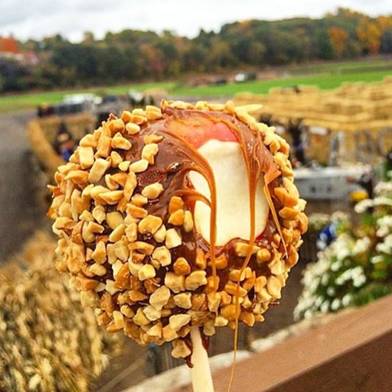 Who Created Food in the Air?