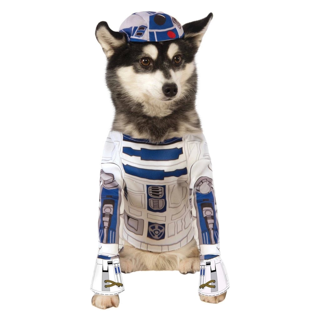 Star Wars R2D4 Dog Costume