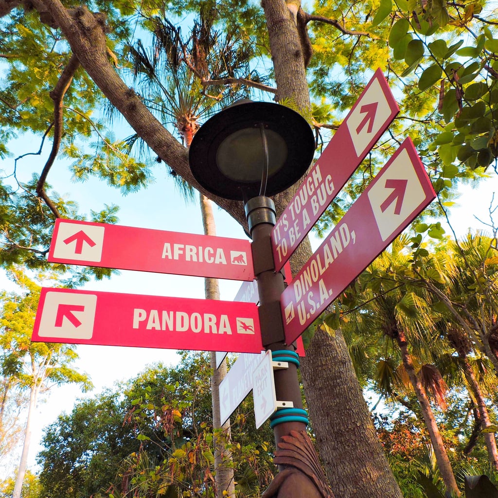 What to Do at Walt Disney World's Pandora World of Avatar