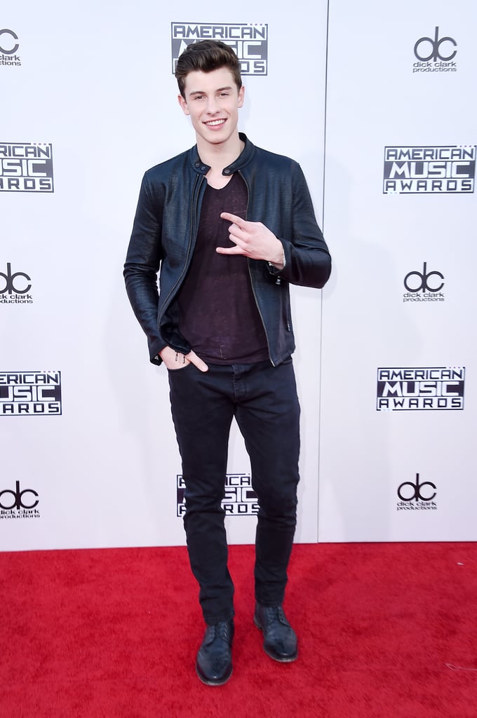 Shawn Mendes Latin Celebrities at the 2015 AMAs Red Carpet Pictures