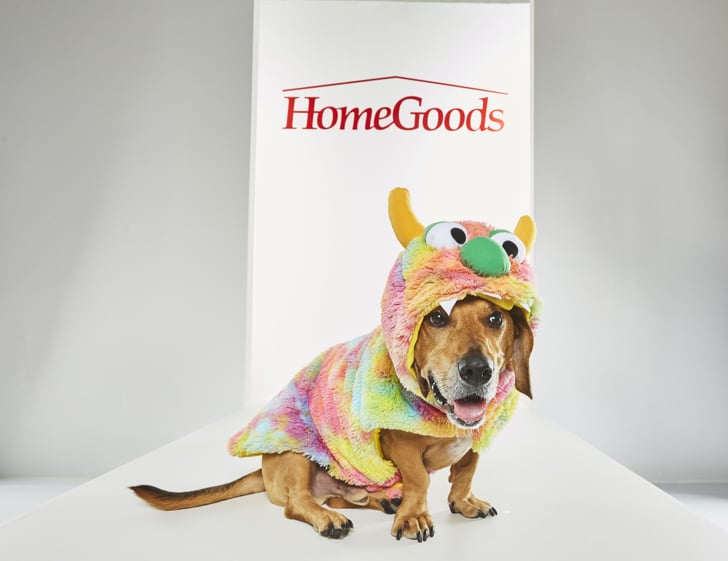 Sweet Snuggle Monster Pet Halloween Costumes From HomeGoods