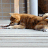 Https Encrypted Tbn0 Gstatic Com Images Q Tbn 3aand9gcrxva Ph Tznujlv6jxqxoffgjxudw572gzlw Usqp Cau