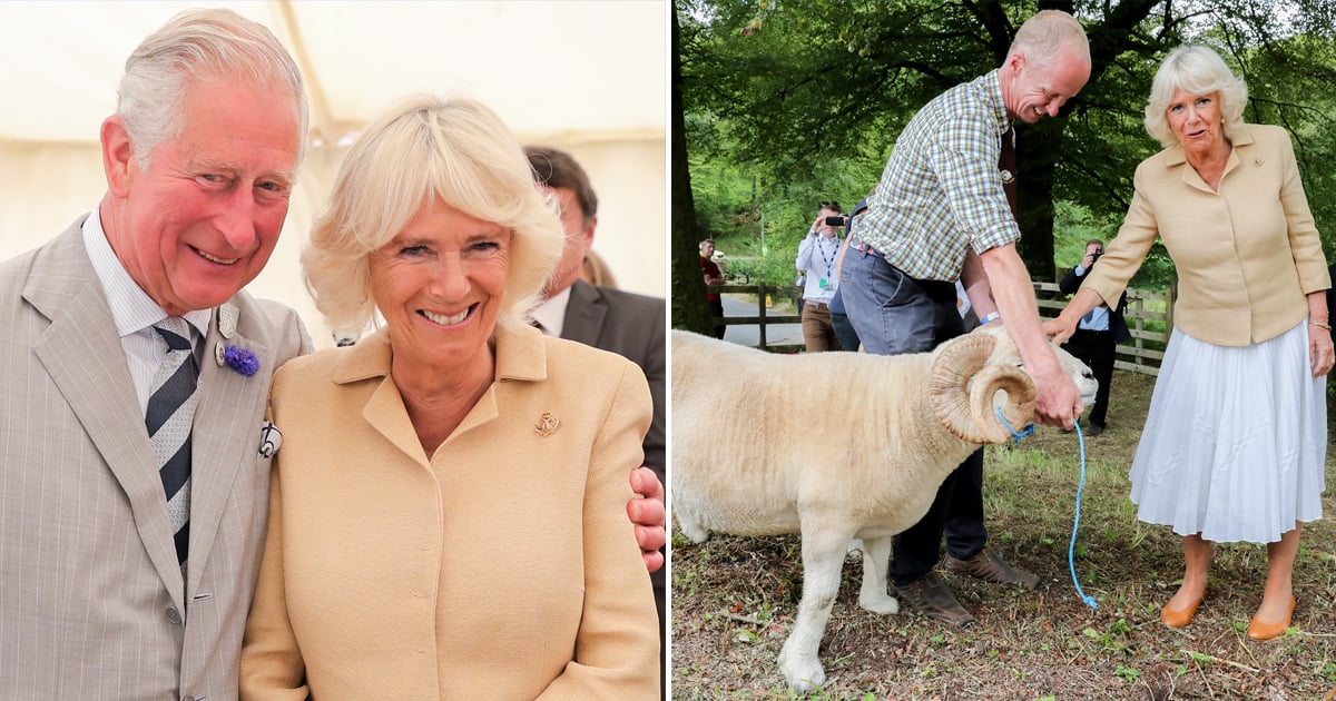 Camilla Parker Bowles Birthday Photos 2019 | POPSUGAR Celebrity