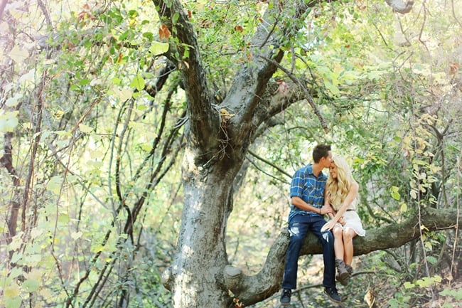 Sit in a Tree