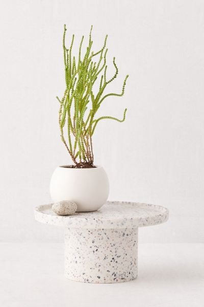 Finn Terrazzo Planter Stand