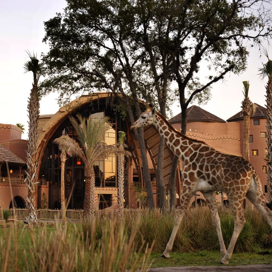 Things to Do at Disney's Animal Kingdom Lodge for Kids