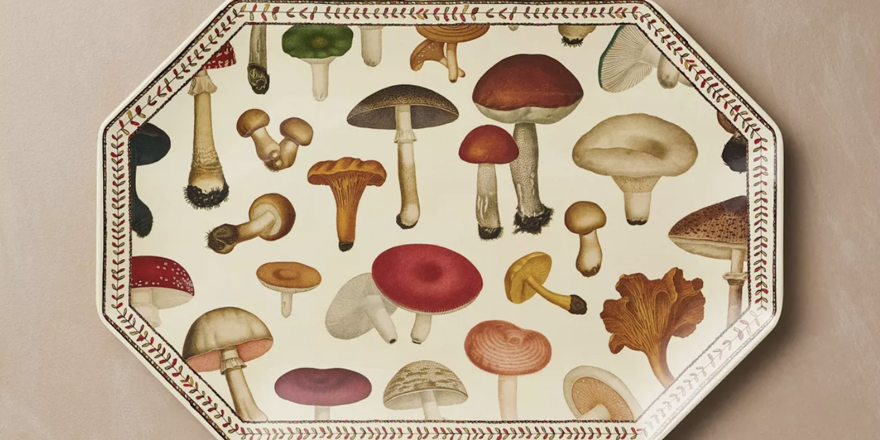 Shop Target's Mushroom-Inspired Fall Collection - Vimarsana News