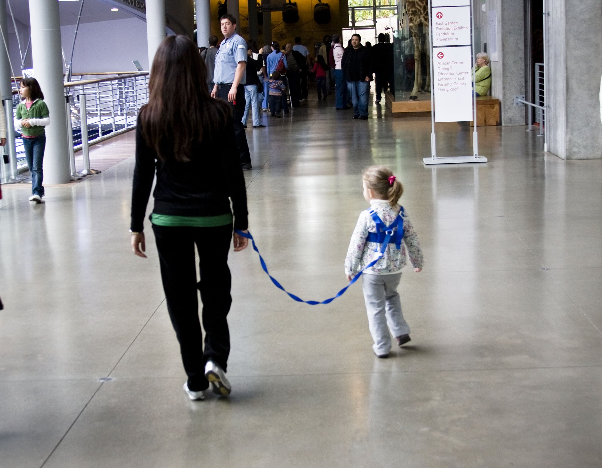 hand harness for toddlers