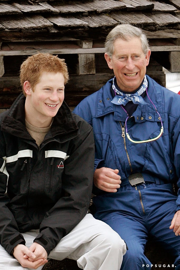 Prince Harry and Prince Charles Pictures