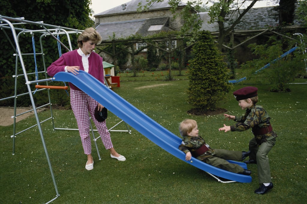The young brothers played together on a slide in the garden of Highgrove House with their mother, Diana, in July 1986.