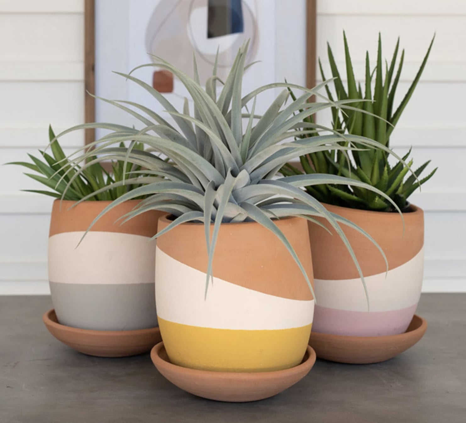Details about   Plant Pots With Saucers Sahara Flowerpot Garden Flower Planters Indoor 
