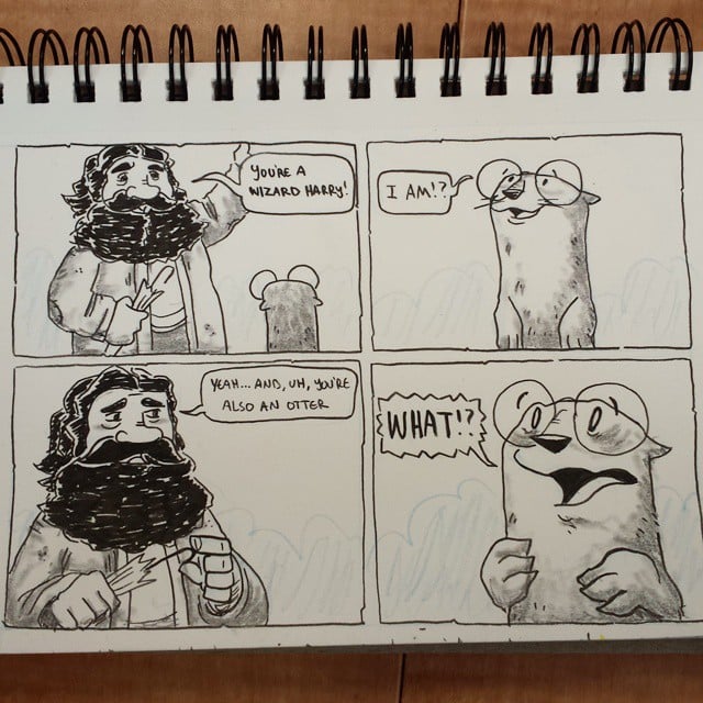 "Harry Otter"