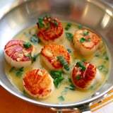 Simple Seared Scallops Beginners