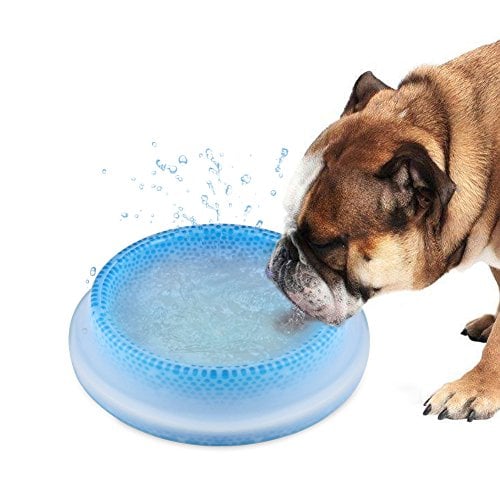 Frosty Bowl Chilled Water Bowl