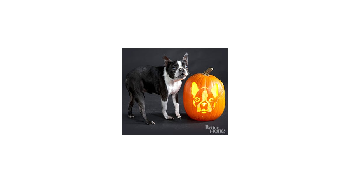 Boston Terrier Downloadable Dog Breed Pumpkin Stencils POPSUGAR boston-terrier-downloadable-dog-breed-pumpkin-stencils-popsugar