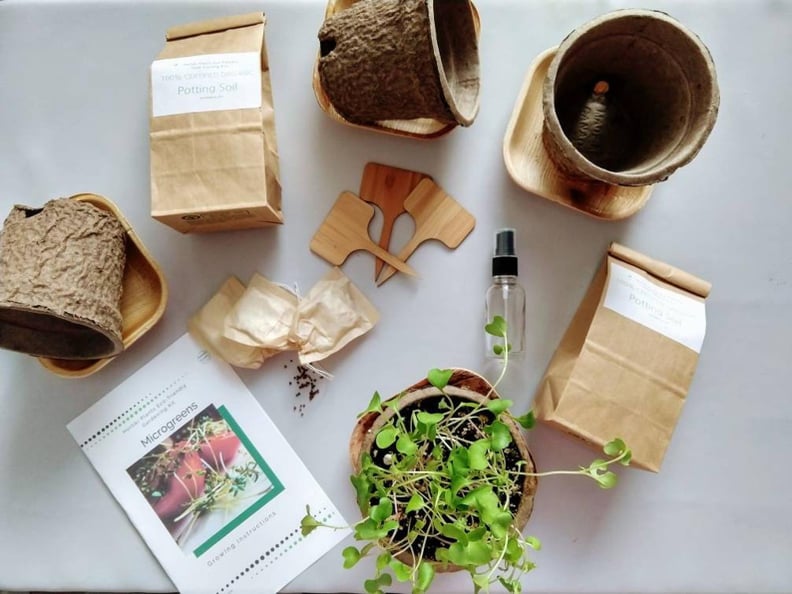 Hortiki Plants Microgreens Eco-Friendly Seed Starting Kit