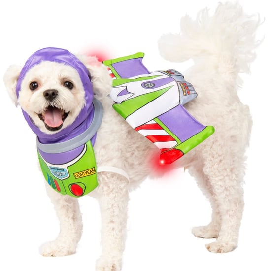 Toy Story Buzz and Woody Costumes For Dogs