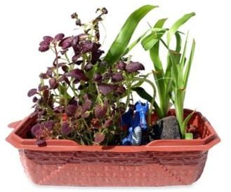 Dragon S Lair Windowsill Greenhouse 13 Outdoor Dragon Toys That