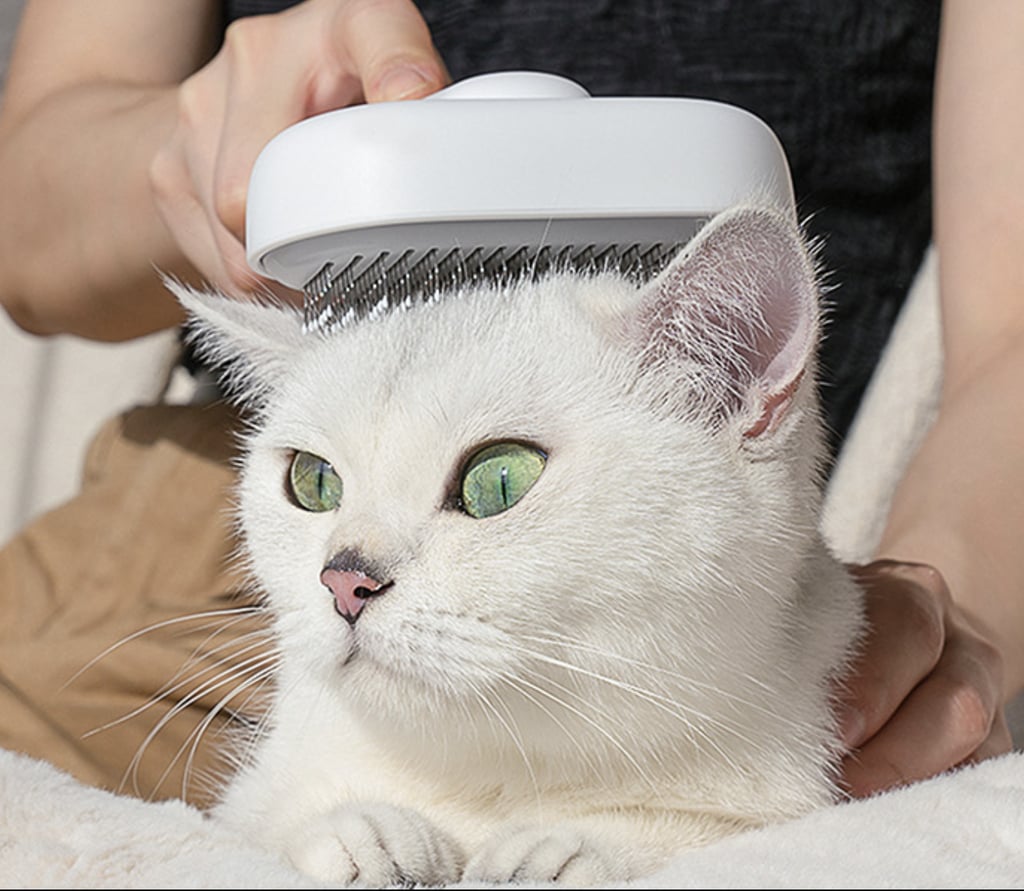 Aumuca Cat Brush ($15, originally $16)
"I swear this is the best cat brush I've ever used — and my fur babies absolutely love it. It definitely feels like a massage for them, as they start purring immediately when I take it out — before we even get going with the grooming process. What's more, pressing the button to eject the hair buildup has to be one of the most satisfying feelings. We use this cat brush daily in this house, and it comes highly recommended!" — Sarah Wasilak, associate content director, Shopping