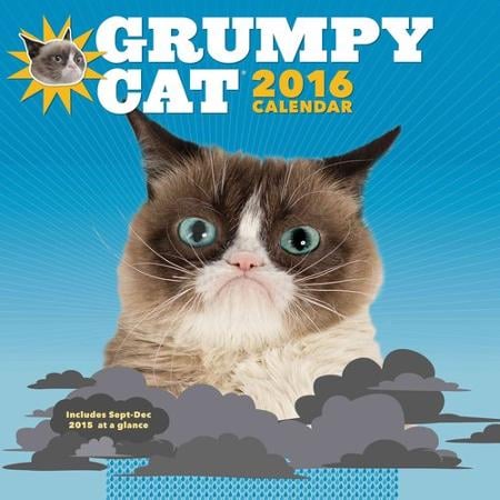 Grumpy Cat Wall Calendar