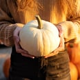 White Pumpkins Are Scarily Popular This Halloween, Here's Everything You Need to Know About Them