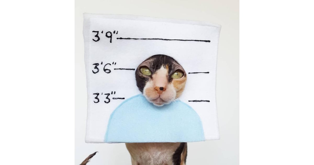 Pet Police LineUp Costume Best Costumes For Cats POPSUGAR UK Pets