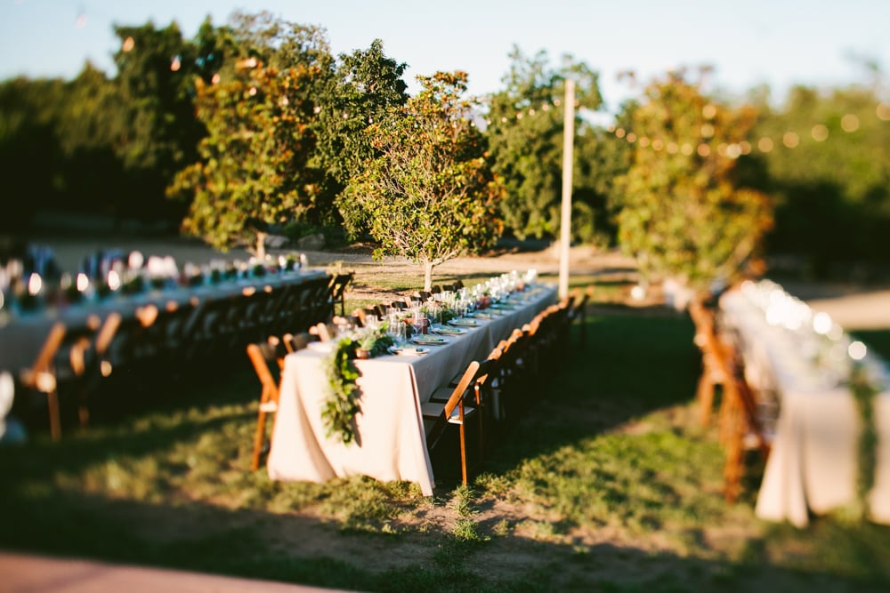 Lemon Orchard Wedding