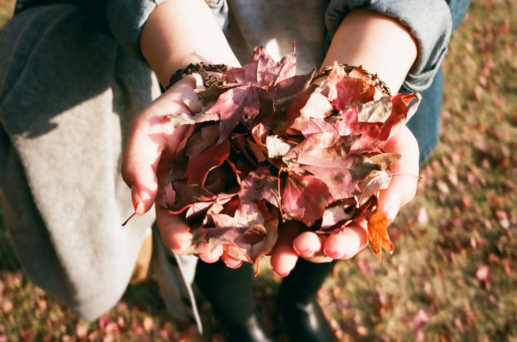 Fall Date Ideas