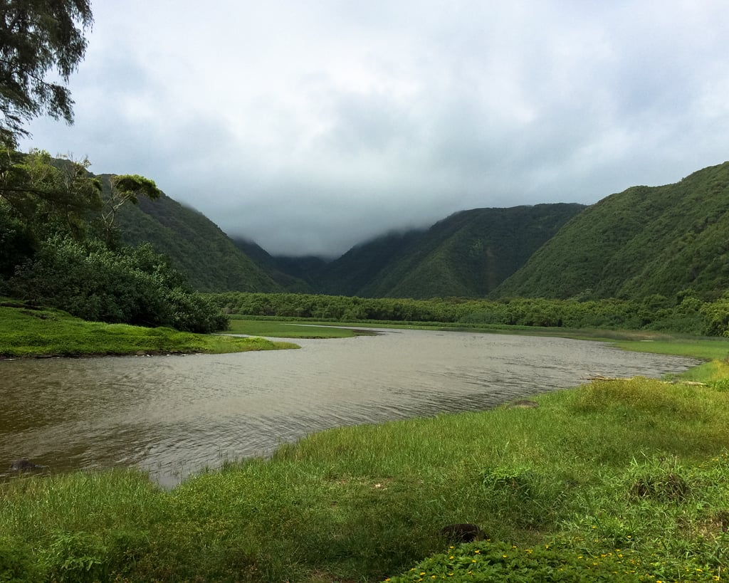 After driving along miles of highways and open roads, you might be looking to stretch your legs and breathe in some fresh air. If so, consider hiking the magnificent Pololu Valley Trail nestled at the head of the Kohala coast. Once you have made your way down the winding switchbacks, you will arrive at a misty valley floor. Don't be surprised if hair-raising chills shoot up your spine; this wild landscape takes "lush" to a whole new level.