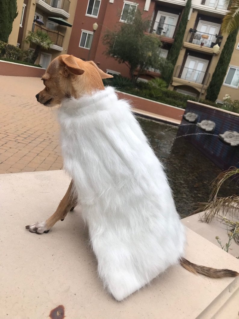 Game Of Thrones Inspired Daenerys Targaryen Cape For Cats Or Dogs