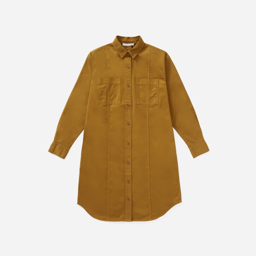 Everlane The Modern Utility Shirtdress