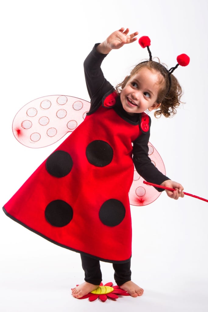 Ladybug