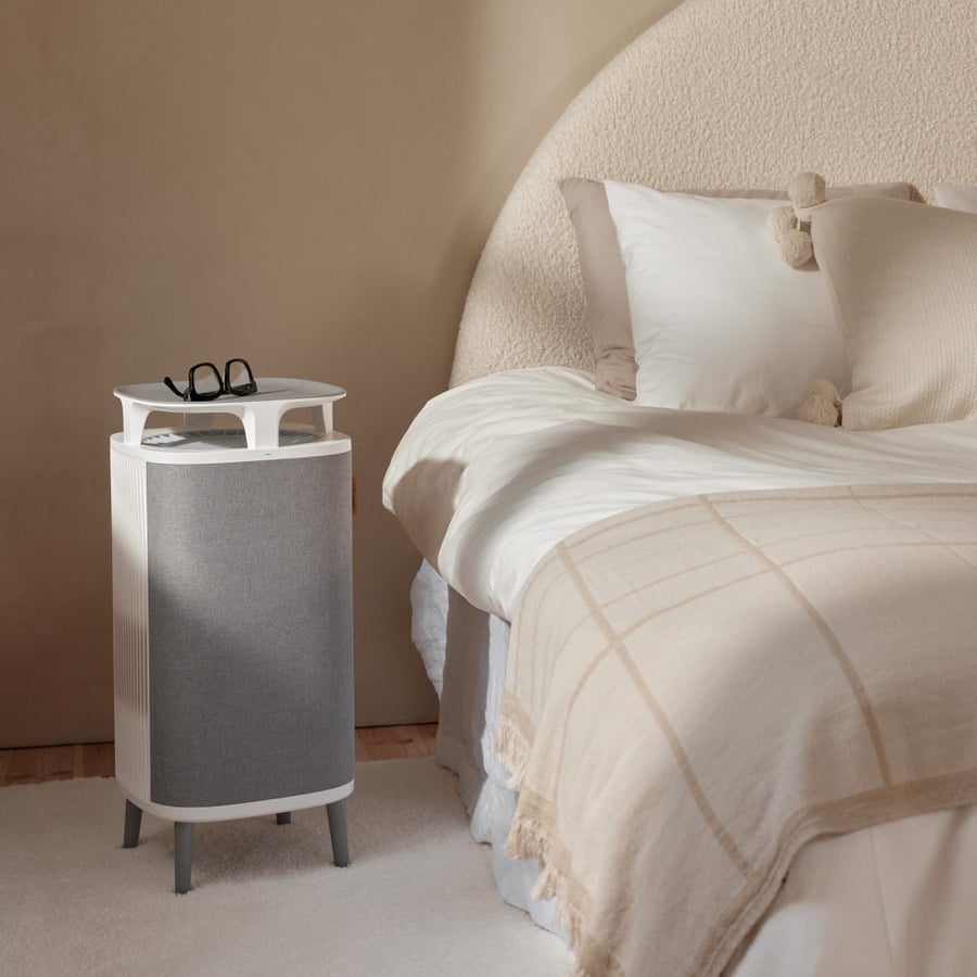 Best Air Purifier For Dust Removal